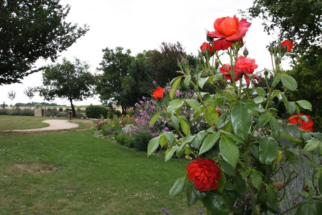 Chambres D'Hotes Domaine De Nazere Avezan Zewnętrze zdjęcie